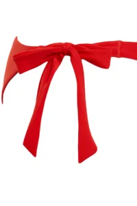 TRENDYOLMİLLA Rejection tied up brazilian Bikini Bottom - Image 6