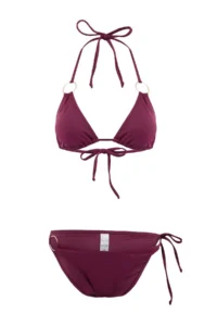 TRENDYOLMİLLA Plum Triangle Covered with accessories Regular Waist Regular Bikini Set