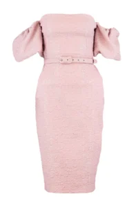 TRENDYOLMİLLA Pink Arched Lined textured Kendinden Patterned Weaving Chic Evening Gown Dress - Image 7