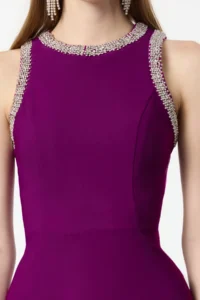 TRENDYOLMİLLA Plum A-Kesim Stone with accessories Weaving Evening Gown Gece Graduation Dress - Image 4