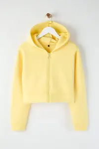 TRENDYOLMİLLA Light Yellow Zippered Hooded Casual Cut Crop Thick Fleece Lined Knitting Sweatshirt - Image 7