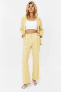 TRENDYOLMİLLA Yellow Straight/Plain Kesim Pilili Weaving Dress Pants - Image 2