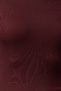 TRENDYOLMİLLA Burgundy Viscose Crew Neck Crop Flexible Knitting Blouse - Image 2