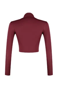 TRENDYOLMİLLA Burgundy Dog collar Draped Body-fitting Flexible Knitting Crop Blouse - Image 9