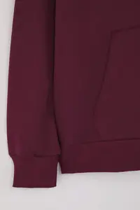 TRENDYOLMİLLA Plum Thick Fleece Inside Oversized/Wide Pattern Hooded Basic Knitting Sweatshirt - Image 7
