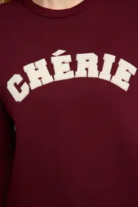 TRENDYOLMİLLA Burgundy Thick Oversized/Comfortable Cut Slogan Embroidered Knitting Sweatshirt with Fleece Inside - Image 4