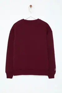 TRENDYOLMİLLA Burgundy Embroidered Regular/Normal Pattern Thick Fleece Inside Knitting Sweatshirt - Image 8