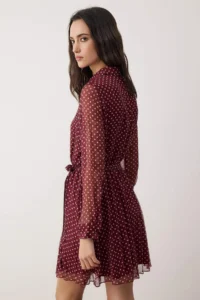 TRENDYOLMİLLA Burgundy Polka Dot Belted Short / Mini Weaving Shirt Dress - Image 4