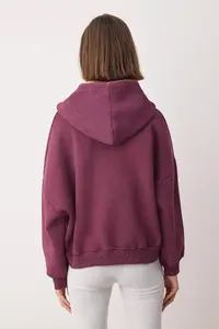 TRENDYOLMİLLA Plum Stitch Detailed Hooded Washable/Vintage Effect Fleece Inside Knitting Sweatshirt - Image 4
