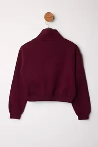 TRENDYOLMİLLA Burgundy Thick Fleece Inside Dog collar Half Patch Zipper Crop Knitting Sweatshirt - Image 7