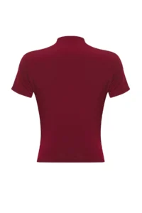 TRENDYOLMİLLA Burgundy Draped Fitted Short Sleeve Dog collar Flexible Knitting Blouse - Image 6