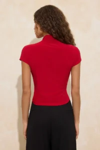 TRENDYOLMİLLA Rejection Drapeli Fitted Short Sleeve Dog collar Flexible Knitting Blouse - Image 4