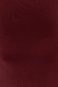 TRENDYOLMİLLA Burgundy Dog collar Drape Detailed Fitted Asymmetric Knitting Blouse - Image 3