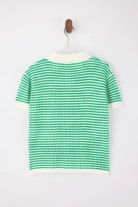 TRENDYOLMİLLA Green Polo Shirt Collar Striped  Knitwear Middle Blouse - Image 6
