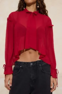TRENDYOLMİLLA Rejection Scarf Collar Front Short Siphon Transparent Blouse - Image 3