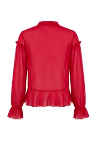 TRENDYOLMİLLA Rejection Scarf Collar Front Short Siphon Transparent Blouse - Image 6
