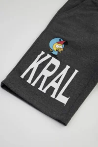 DeFacto Boys' Kral Şakir Bermuda Shorts - Image 6