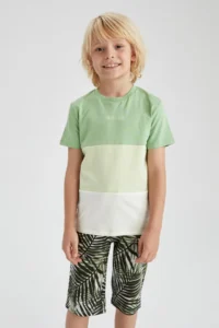 DeFacto Boys' Patterned Bermuda Shorts Y6500a622hs - Image 2