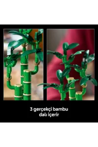 LEGO ® Botanicals Lucky Bamboo  - Decorative Plant Making Set for Nature-Loving Adults (325P) - Image 7