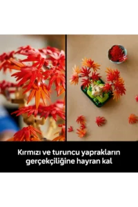LEGO ® Botanicals Japanese Red Maple Bonsai Tree  - Model Building Set for Adults (474P) - Image 7
