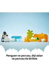 LEGO ® DUPLO® Town Wild Animal Families: Penguins and Lions - 2+ Educational Toy Set (10P) - Image 9