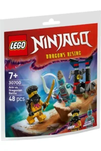 LEGO  Ninjago Arin vs Dragonman Battle