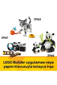 LEGO ® Creator 3 in 1 Floral Typewriter  - Creative Toy Building Set for Kids 8+ (363P) - Image 10