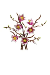 LEGO ® Botanicals Magnolia Branches 11510 - Decorative Model Building Set for Adults (435 Pieces) - Image 9