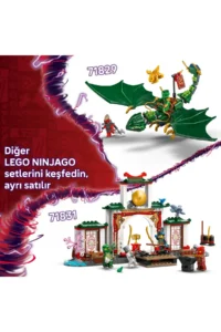 LEGO ® NINJAGO® Ninja Temple of Spinjitzu  - Creative Toy Building Set for Kids 4+ (158P) - Image 10