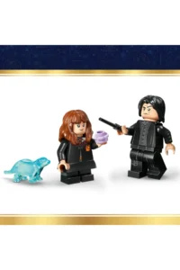 LEGO ® Harry Potter™ Cauldron: Secret Potion Class  - 10+ Creative Toy Building Set (652 Pieces) - Image 2