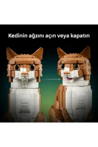 LEGO Ideas Orange Cat 21376 - Cat Model Building Set with Eye Options for Adults (1755 Pieces) - Image 5