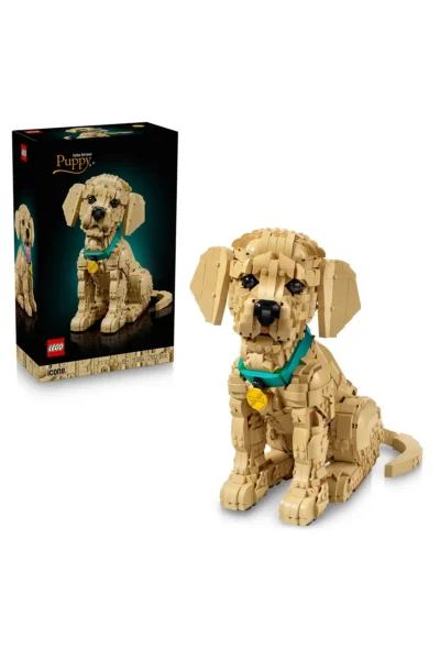 LEGO11384-MULTICOLORED_1