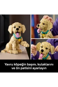 LEGO ® Icons Baby Golden Retriever 11384 – Decorative Animal Figure Construction Set for Adults (2102) - Image 7