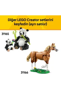 LEGO ® Creator 3 in 1 Wild Animals: Tropical Toucan Bird 31173 - 7+ Toy Building Set (225P) - Image 10