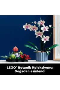 LEGO ® Botanicals Orchid 10311 - Displayable Flower Model Building Set for Adults (608 Pieces) - Image 9