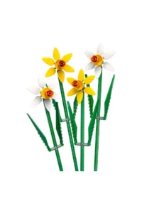 LEGO ® Nergis Kutlama Hediyesi 40747 - Image 2