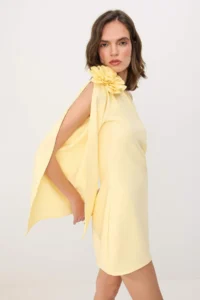 TRENDYOLMİLLA Yellow 3 Boyutlu Flower Applique Detailed Finike Short / Mini Lined Party Dress - Image 2