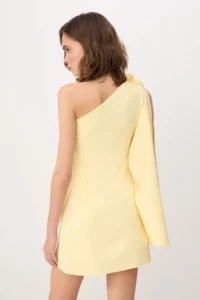 TRENDYOLMİLLA Yellow 3 Boyutlu Flower Applique Detailed Finike Short / Mini Lined Party Dress - Image 4