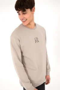 US Polo Shirt Assn. Men Stone Basic Sweatshirt - Image 5