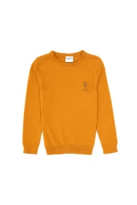 US Polo Shirt Assn. Boys' Mustard Crew Neck Basic Sweater