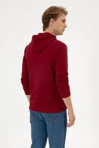 US Polo Assn. Men Regular Fit Hooded Burgundy Basic Sweatshirt - Image 5