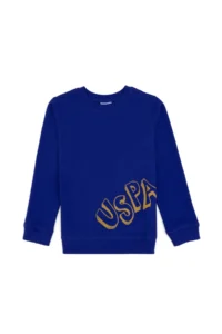 US Polo Shirt Assn. Boys' Purple Crew Neck Basic Sweatshirt