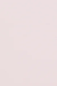 US Polo Shirt Assn. Women Light Pink Polo Shirt Shirt Collar Button Detailed Basic T-Shirt - Image 7