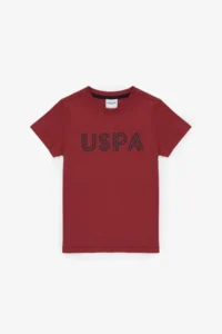 US Polo Shirt Assn. Boys' Cherry Crew Neck Basic T-Shirt
