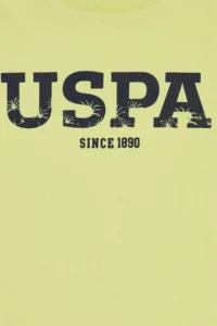 US Polo Assn. Boys' Peanut Green Crew Neck Basic T-Shirt - Image 3
