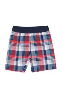 Denokids Monkey Plaid Boys' T-Shirt Shorts Set - Image 7