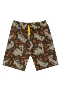 Denokids Kaykay Dino Boys' Summer T-Shirt Shorts Set - Image 7