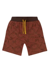 Denokids Wild Boys' Summer T-Shirt Shorts Set - Image 7