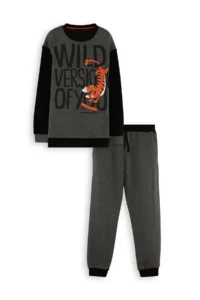 Denokids Wild Oversized Boys' Gray Tracksuit Set - Image 3