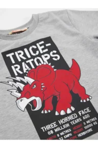 MSHB&G Triceratops Boys' T-Shirt Capri Shorts Set - Image 5